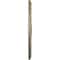 Ekena Millwork Palmetto Medallion (Canopies up to 7 5/8"), 31 1/2"OD x 3 5/8"ID x 1 3/4"P, Gobi Desert Crackle CM31PMGDC - alternate 2